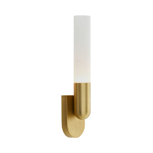 Arteriors DWC56 Haynes 1-lt 20" Tall LED Wall Sconce