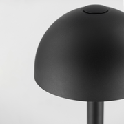 ET2 E41453 Alumilux 1-lt 29" Tall LED Bollard