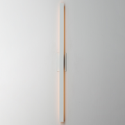 ET2 E42348 Alumilux Line 2-lt 96" Tall LED Outdoor Wall Sconce, 5CCT Selectable - White