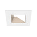 CSL ED5-SAST 5" LED Eco-Downlight Square Adjustable Standard Trim - White/Champagne
