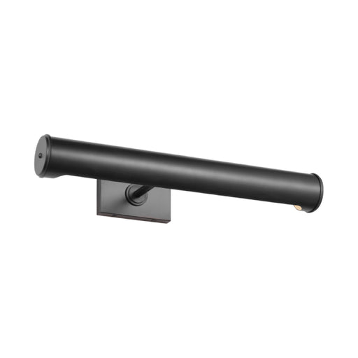 Visual Comfort EW1212 Azer 2-lt 18" LED Picture Light - Aged Iron