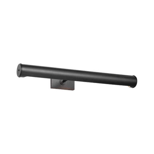 Visual Comfort EW1222 Azer 2-lt 24" LED Picture Light - Aged Iron