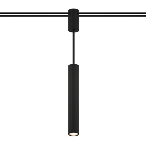 Bruck EXT-SKY-P 1" Skyline System Outdoor Pendant