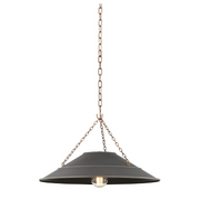 Troy F1223 Arcane 1-lt 23" Pendant