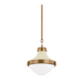 Troy F3113 Maxton 1-lt 14" Pendant