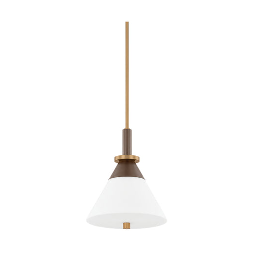 Troy F4212 Staton 1-lt 12" Pendant