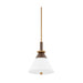 Troy F4212 Staton 1-lt 12" Pendant