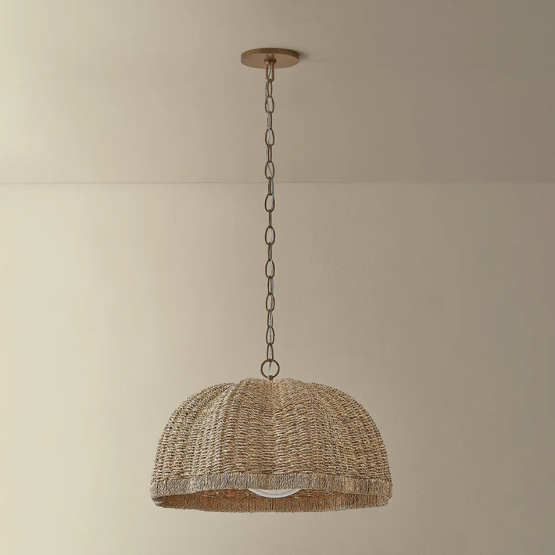 Troy F6124 Jack 1-lt 24" Pendant