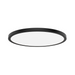 WAC FM-252124 1-lt 24" LED Outdoor Ceiling and Wall Mount, 5CCT - Black
