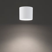 dweLED FM-W47204 Downtown 1-lt 4" LED Outdoor Ceiling Mount