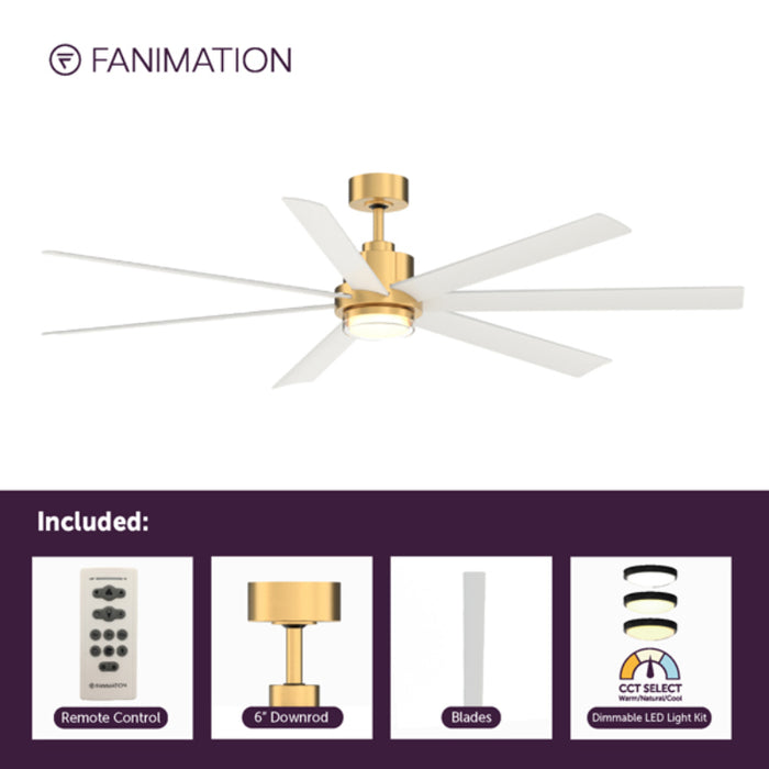 Fanimation FPD6872 Pendry 72" Indoor/Outdoor Ceiling Fan