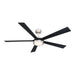 Fanimation FPD8564 TorchAire 64" Indoor/Outdoor Ceiling Fan with LED Light Kit - Brushed Nickel
