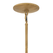 Fredrick Ramond FR46917 Fleur 1-lt 18" LED Pendant