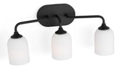 Generation GLV1023 Emile 3-lt 22" Bath Light