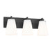 Generation GLV1103 Upson 3-lt 18" Vanity Light - Midnight Black