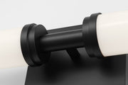 Generation GLV1432 Coles 2-lt 24" LED Vanity Light