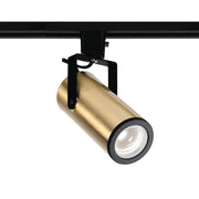 WAC 2020 Silo X20 20W LED Track Head - Brushed Brass