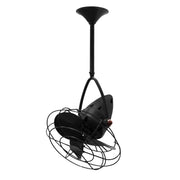 Matthews Fan Jarold 13" Ceiling Fan with Decorative Cage - Black
