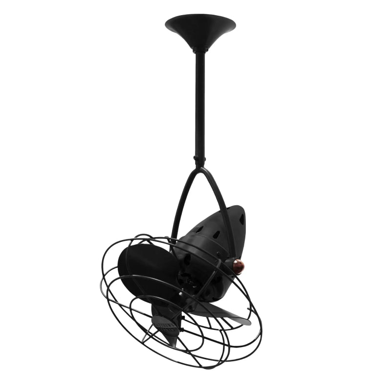 Matthews Fan Jarold 13" Ceiling Fan with Decorative Cage - Black