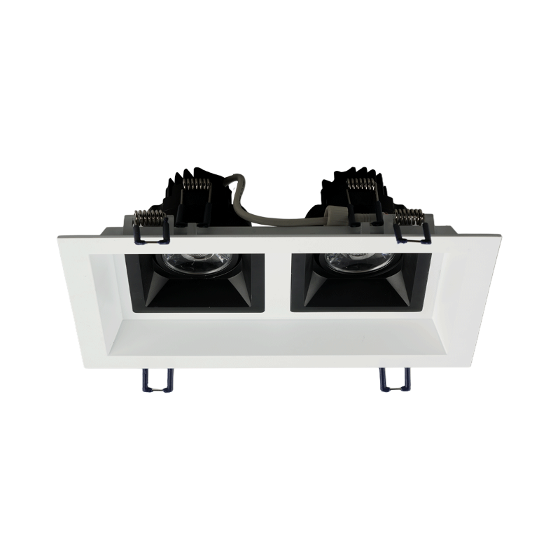 Lotus LLL-M2 9" Multi 2 Head Recessed Fixture for LSG3-HO-TT - White