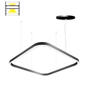 Elite LOOP-SLIM-HEX-DI-LED Architectural LED Slim Square Pendant, Direct/Indirect Light, 3CCT Sectable