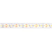 Core LSEW-300 1-ft Eco Series Outdoor Flexible LED Strip, 3W/ft., 24V