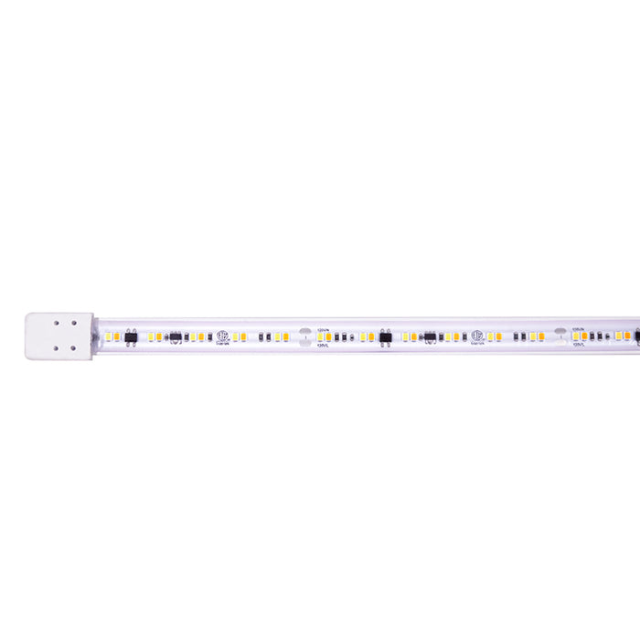 Core LSG40-WD 1-ft Warm-Dim 120V LED Tape Light, 4W/ft., IP67 Rated