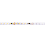 Core LSP65DX-RGBW 1-ft Indoor Digital Pixel Color-Changing LED Strip Light, 4.6W/ft., 24V