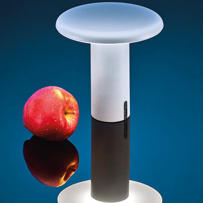 Artemide Takku LED Portable Table Lamp