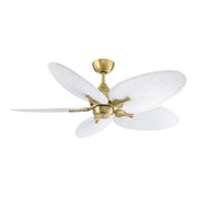 Fanimation MAD3250 Islander 52" Ceiling Fan - Brushed Satin Brass/Wide Oval/Matte White