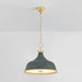 Hudson Valley MDS300 Painted No. 1 3-lt 18" Pendant