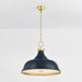 Hudson Valley MDS300L Painted No. 1 4-lt 24" Pendant