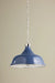 Hudson Valley MDS300L Painted No. 1 4-lt 24" Pendant