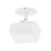 WAC MO-3020 Ocularc 22W LED Monopoint, CCT Selectable - White
