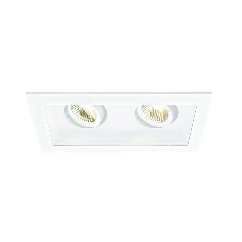 WAC MT-3LD211R Mini LED Multiple Spots 2 Light Remodel Housing with Light Engine and Trim - White