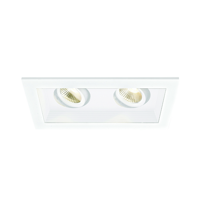 WAC MT-3LD211R Mini LED Multiple Spots 2 Light Remodel Housing with Light Engine and Trim - White