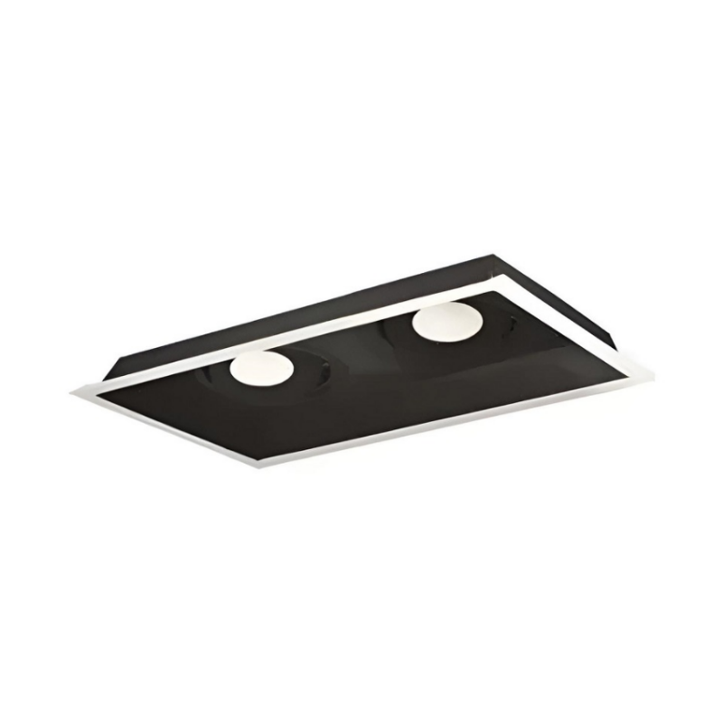 Nora NMRT2-12 2-Head Flanged Gimbal High Lumen LED MLS Trim, 2500lm per head - Black/White