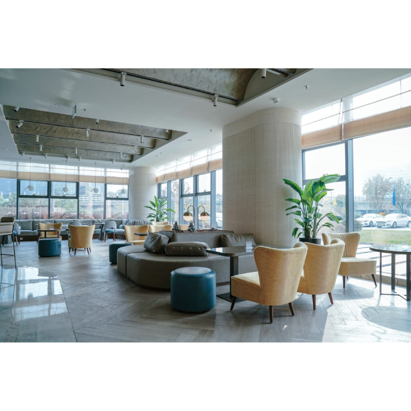 Nora NTZ 20W Z-Track Head with Selectable CCT and Zoomable Optics, 1550lm, 120V, L Style