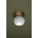 Troy C1406 Odin 1-lt 6" LED Flush Mount - Patina Brass/Soft White
