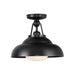 Alora SF344012 Palmetto 1-lt 12" Semi Flush Mount - Urban Bronze
