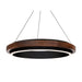 Modern Forms PD-88529 Delaney 1-lt 30" LED Pendant