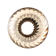 dweLED PD407609 Swayzey 1-lt 10" LED Pendant, 4CCT