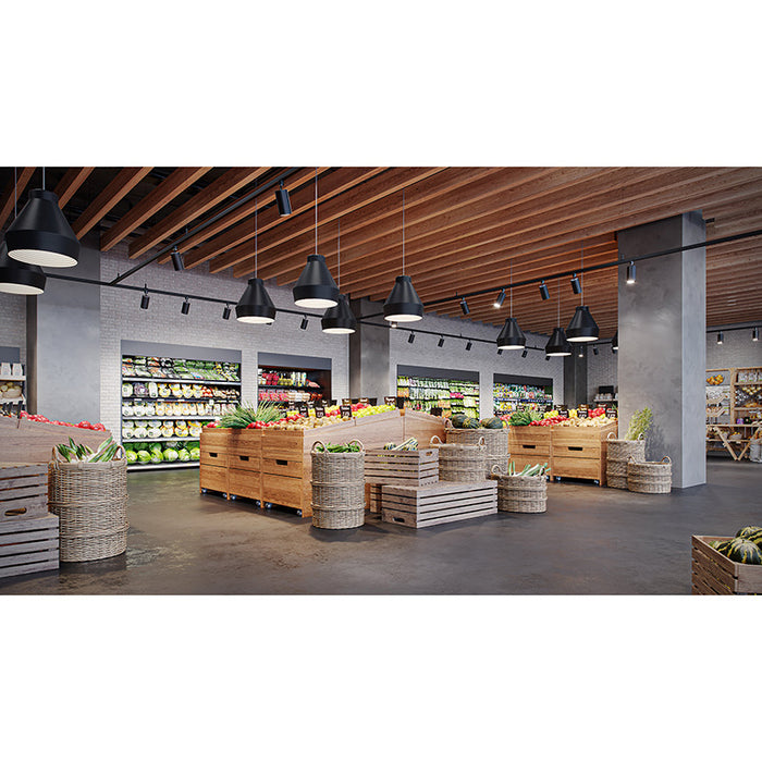 PrentaLux 235 Series 3DP 10W LED Pendant with Disk Canopy
