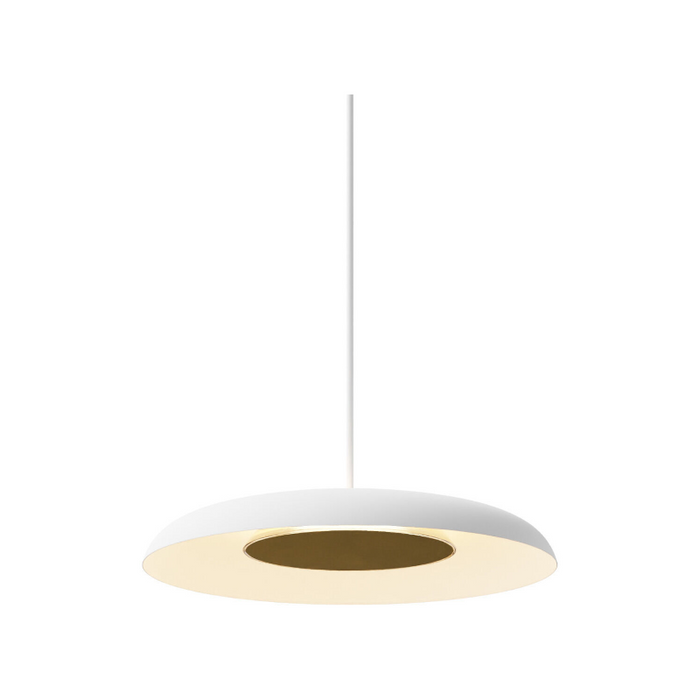 Koncept RMW-09-SW Ramen LED Wall Sconce/Pendant