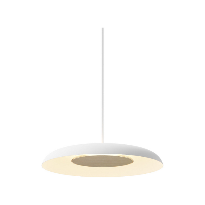 Koncept RMW-09-SW Ramen LED Wall Sconce/Pendant