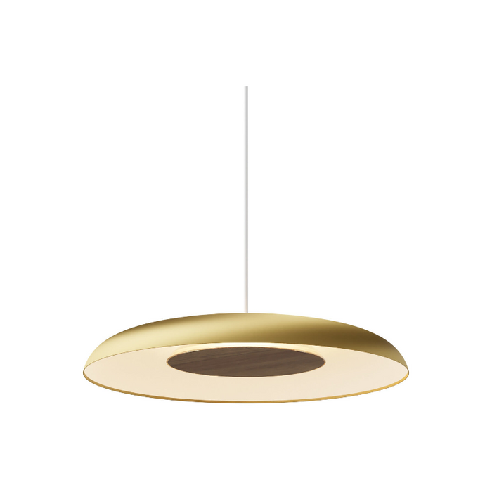 Koncept RMW-12-SW Ramen LED Wall Sconce/Pendant