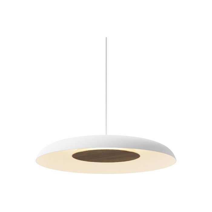 Koncept RMW-12-SW Ramen LED Wall Sconce/Pendant