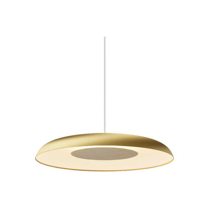 Koncept RMW-12-SW Ramen LED Wall Sconce/Pendant