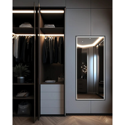 Electric Mirror Radiance 26" x 60" LED Lighted Wardrobe Mirror