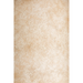 Troy F2708 Relic 1-lt 8" Pendant